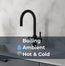 4-in-1 Boiling & Filtered