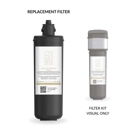 INTU Deluxe Pro Replacement filter - The Tap Specialist